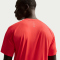 NIKE Stride Dri-FIT ADV kurzarm Laufshirt Herren 696 - lt crimson/reflective silv S