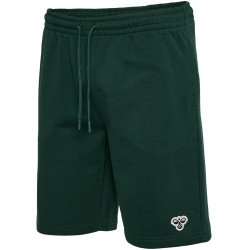 hummel SV Werder Bremen Travel Sweatshorts 6231 - pine...