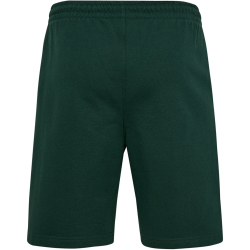 hummel SV Werder Bremen Travel Sweatshorts 6231 - pine...