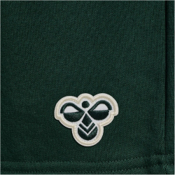 hummel SV Werder Bremen Travel Sweatshorts 6231 - pine...