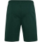 hummel SV Werder Bremen Travel Sweatshorts 6231 - pine grove M