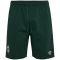 hummel SV Werder Bremen Travel Sweatshorts 6231 - pine grove M
