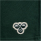 hummel SV Werder Bremen Travel Sweatshorts 6231 - pine grove M