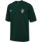 hummel SV Werder Bremen Travel Poloshirt 6231 - pine grove M