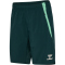 hummel SV Werder Bremen Staff Trainingsshorts 6231 - pine grove L
