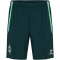 hummel SV Werder Bremen Staff Trainingsshorts 6231 - pine grove L