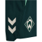 hummel SV Werder Bremen Staff Trainingsshorts 6231 - pine grove L