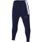 NIKE Academy Dri-FIT Fußball Trainingshose Herren 494 - blue void/white/black/pinksicle XS