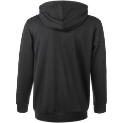 VIRTUS Brent Hoodie Herren