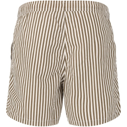 VIRTUS Cullen Striped Boardshorts Herren