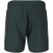 VIRTUS Andrem Logo Boardshorts Herren