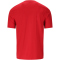 VIRTUS Finnian Trainingsshirt Herren 4374 - american beauty S
