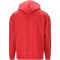 VIRTUS Kayce Hoodie Herren 4374 - american beauty S
