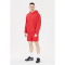 VIRTUS Kayce Hoodie Herren 4374 - american beauty M