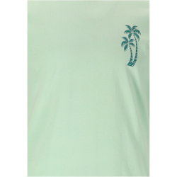 Cruz Alymos Printed T-Shirt Herren 2156 - brook green M