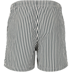 VIRTUS Cullen Striped Boardshorts Herren 3242 - dusty...