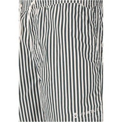 VIRTUS Cullen Striped Boardshorts Herren 3242 - dusty...