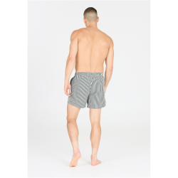 VIRTUS Cullen Striped Boardshorts Herren 3242 - dusty...