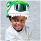 CRAZY SAFETY Tiger Fahrradhelm Kinder 3999 - green S (49-55 cm)