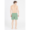 Cruz Eyemouth V2 Basic Boardshorts Herren 3138 - green bay S