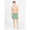Cruz Eyemouth V2 Basic Boardshorts Herren 3138 - green bay XL