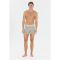 VIRTUS Tuch V2 Boxershorts Herren 1005 - light grey melange S