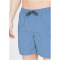 Cruz Eyemouth V2 Basic Boardshorts Herren 2215 - quiet harbor XL