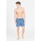 Cruz Eyemouth V2 Basic Boardshorts Herren 2215 - quiet harbor XL