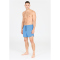 VIRTUS Smither Boardshorts Herren 2025 - regatta S