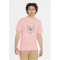 Cruz Ankara Printed T-Shirt Herren 4210 - rose shadow S