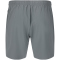 VIRTUS Spier V2 Trainingsshorts Herren 2050 - stormy weather S
