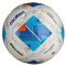 10er Ballpaket molten Fußball Freizeitball F4N-ST weiß/blau 4
