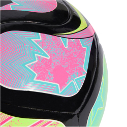 10er Ballpaket adidas World Cup Pro Beach...