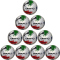 10er Ballpaket CRAFT Ability Hybrid Pro Fußball Trainingsball 5001 - normal 5
