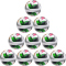 10er Ballpaket CRAFT Ability Team Fußball Trainingsball N - normal 5