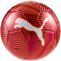 10er Ballpaket PUMA Final Graphic Fußball...