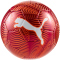 10er Ballpaket PUMA Final Graphic Fußball Freizeitball