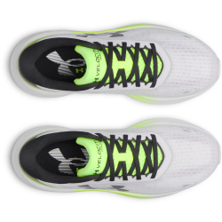 UNDER ARMOUR Velociti Pace Laufschuhe Herren