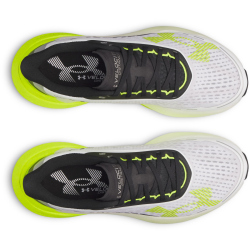 UNDER ARMOUR Velociti Distance Laufschuhe Herren