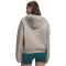 UNDER ARMOUR Icon Fleece 1/2-Zip Hoodie Damen 203 - timberwolf taupe/timberwolf taupe XS
