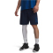 UNDER ARMOUR Next Gen Shorts Herren 408 - academy/varsity blue S