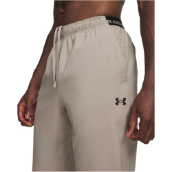 UNDER ARMOUR Vanish Trainingshose Herren 203 - timberwolf taupe/ultimate black M