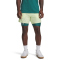 UNDER ARMOUR Vanish Elite 6" Shorts Herren 391 - fade green/fade green S