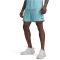 UNDER ARMOUR Tech Play Shorts Herren 425 - blue haze/academy S