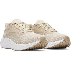 UNDER ARMOUR Ascend Laufschuhe Herren 289 - khaki...