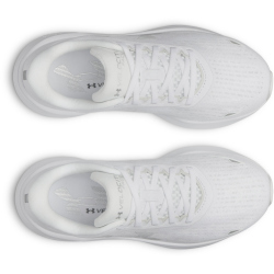 UNDER ARMOUR Velociti Pace Laufschuhe Damen 100 - white/white/white 38