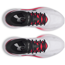 UNDER ARMOUR Velociti Pace Laufschuhe Herren 102 -...