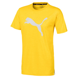 PUMA Heather Cat Tee Trainingsshirt Herren