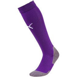 PUMA Team Liga Core Stutzenstrümpfe prism...