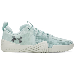 UNDER ARMOUR Reign 6 Trainingsschuhe Herren 477 - enamel blue/illusion green/anthracite 42